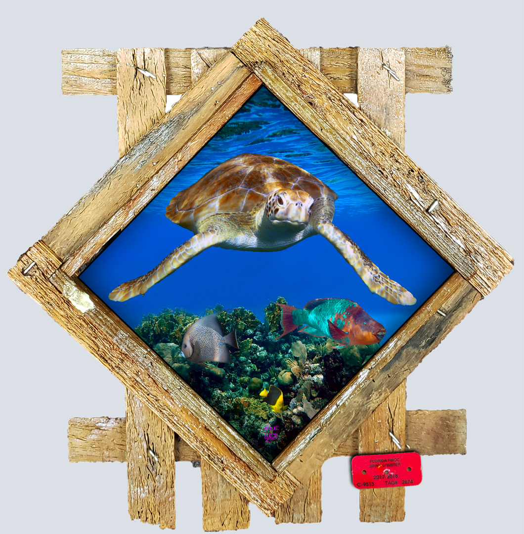 "Diving Turtle" Diamond Lid
