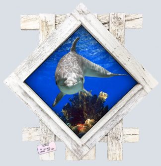 "Dolphin Diving" Diamond Lid