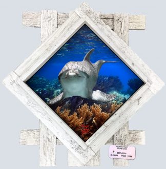 "Dolphin Gliding" Diamond Lid