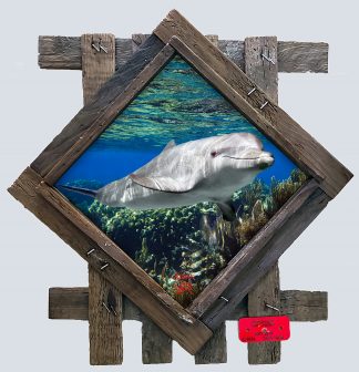 "Dolphin Under the Surface" Diamond Lid