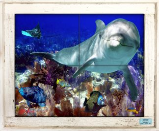 "Dolphin and Friends" Tile Mural