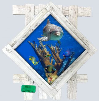 "Dolphin and Friends" Diamond Lid