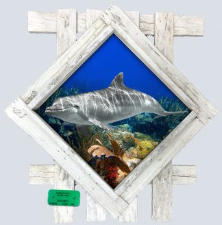 "Dolphin at Cheeca Rocks" Diamond Lid