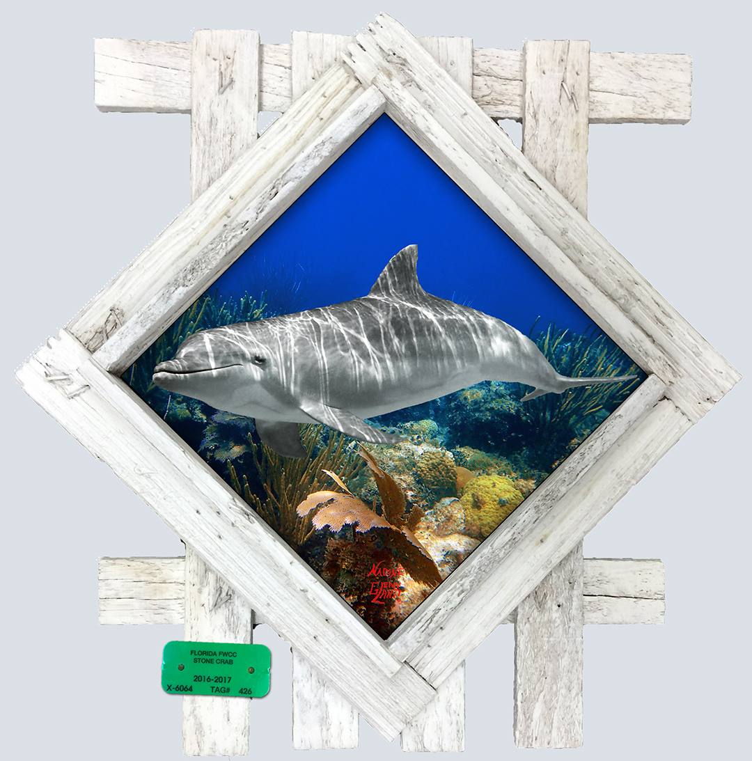 "Dolphin at Cheeca Rocks" Diamond Lid