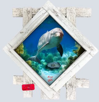 "Dolphin in the Bay" Diamond Lid