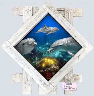 "Dolphin Playing on the Reef" Diamond Lid