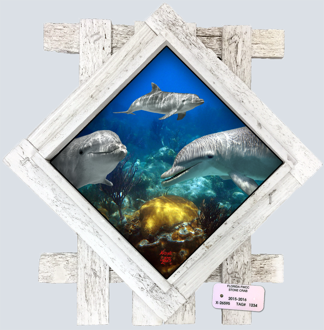 "Dolphin Playing on the Reef" Diamond Lid