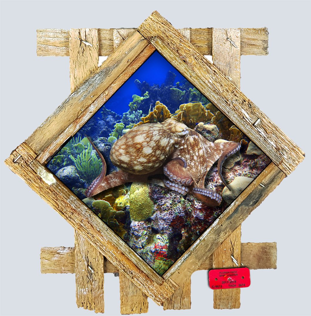 "Exploring the Reef" Diamond Lid