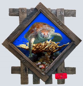 "Flying Low Over the Corals" Diamond Lid