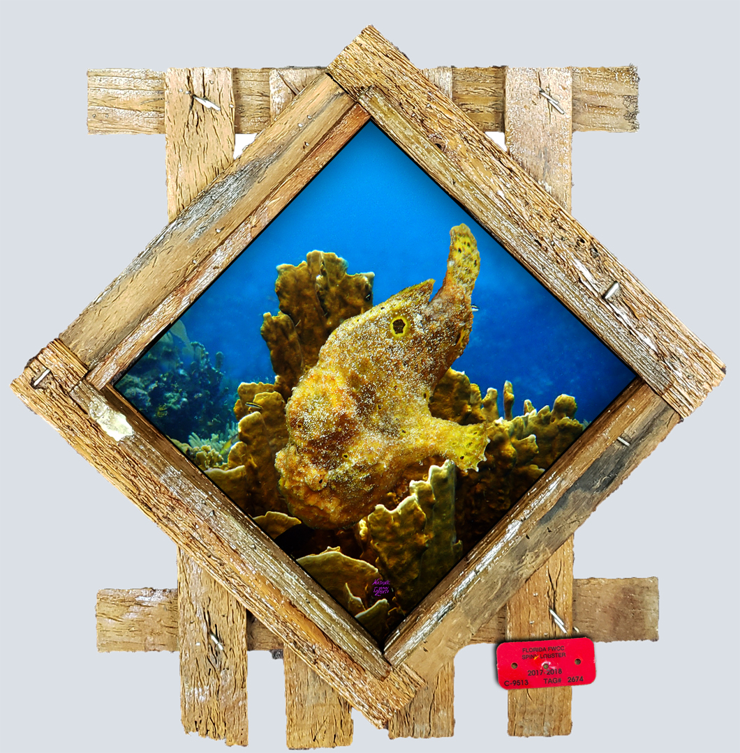 "Frog Fish" Diamond Lid