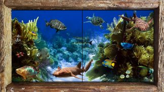 "Grecian Rocks Reef"