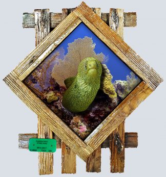 "Golden Eel on the Reef" Diamond Lid