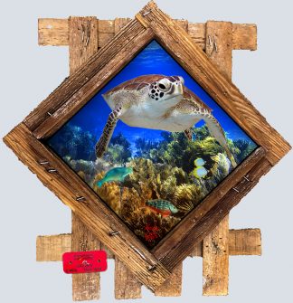 "Green Turtle Close Encounter" Diamond Lid