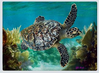 "Hawksbill Turtle" Cutting Board