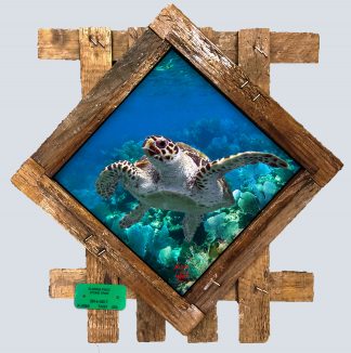 "Hawksbill Diving Deep" Diamond Lid