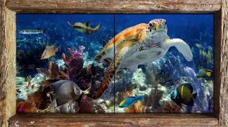 "Life on the Reef"