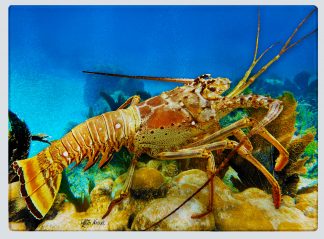 "Lobster 2" Cutting Board