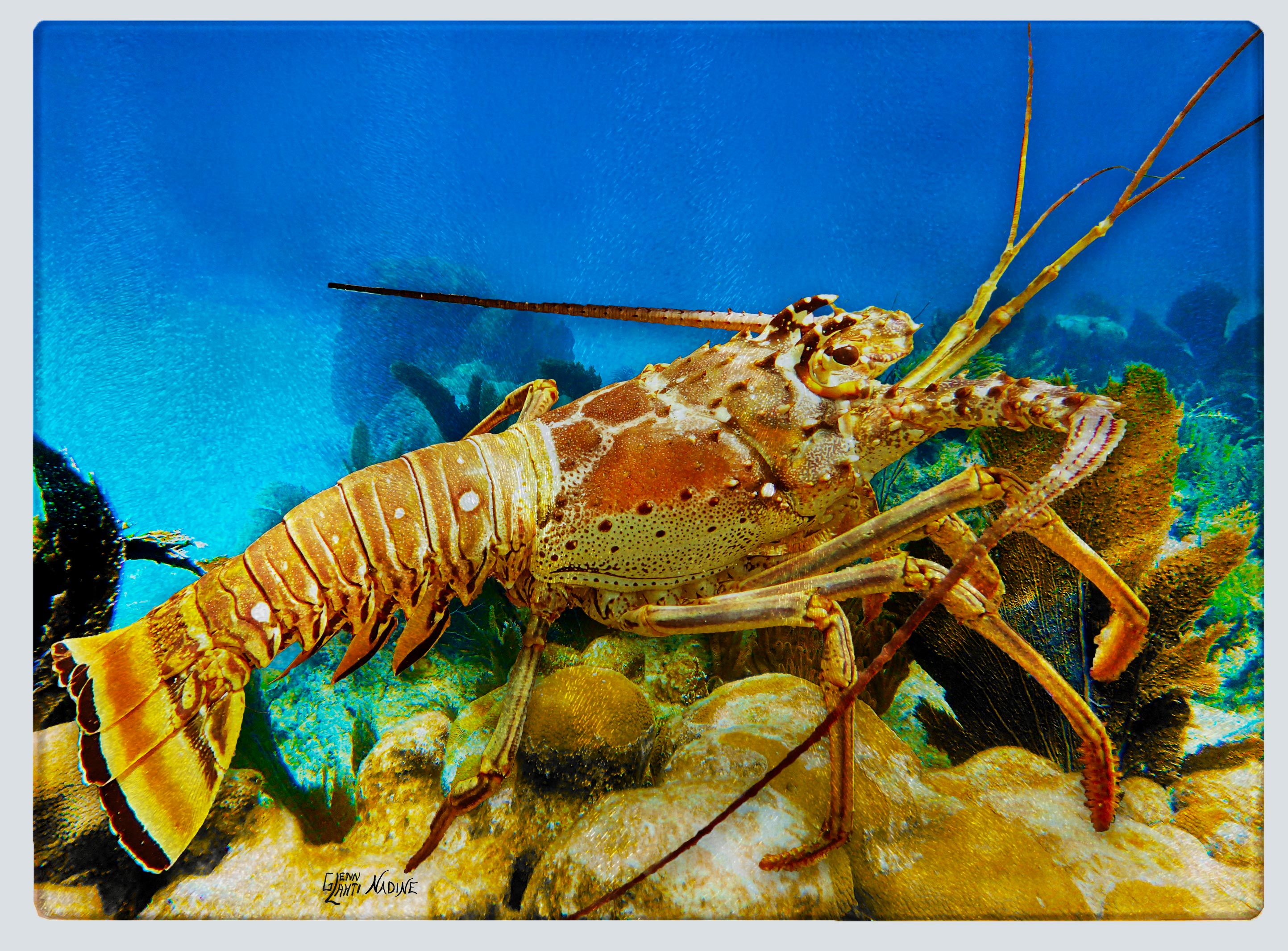 "Lobster 2" Cutting Board