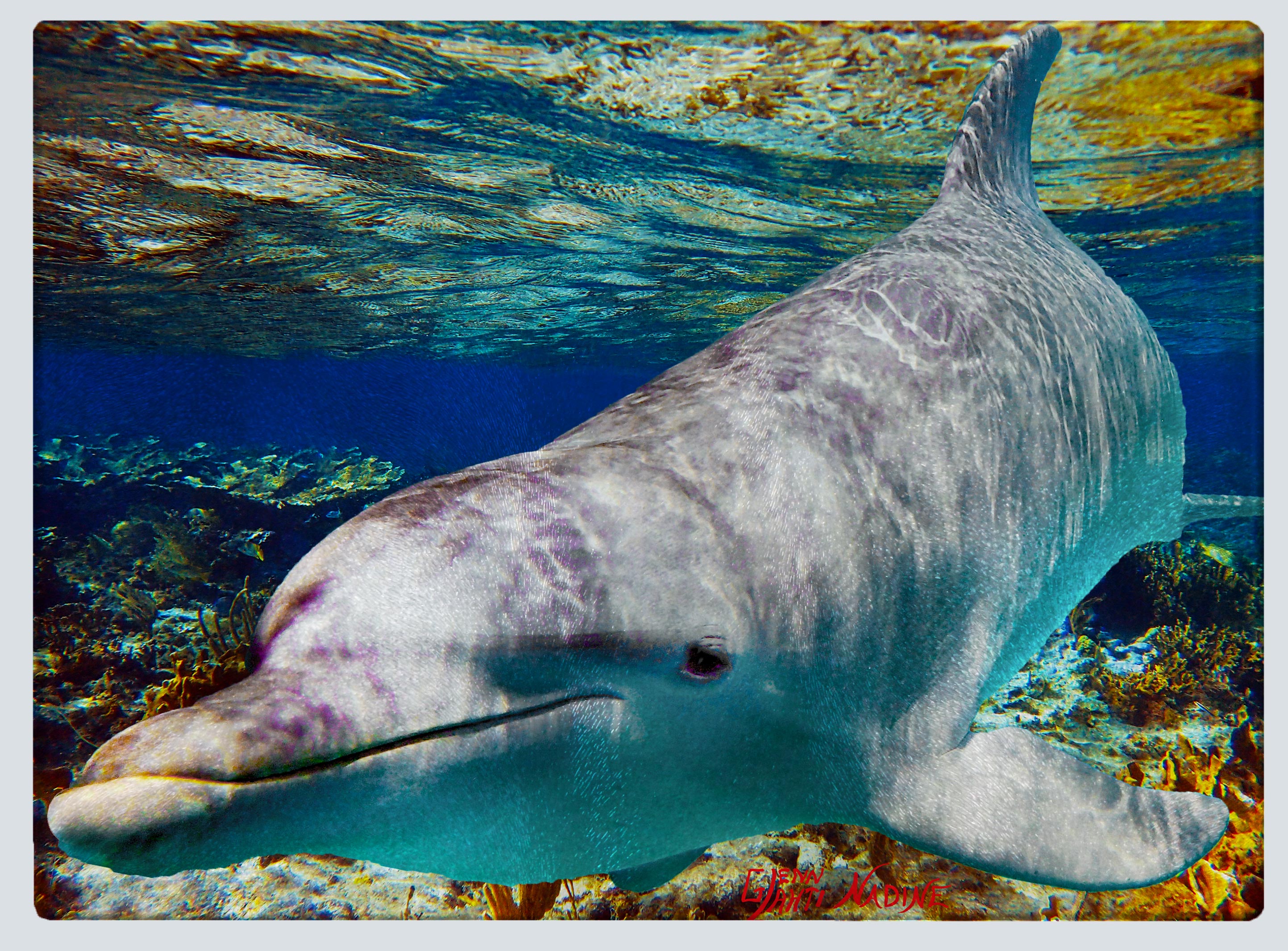 "Nearshore Dolphin" Cutting Board