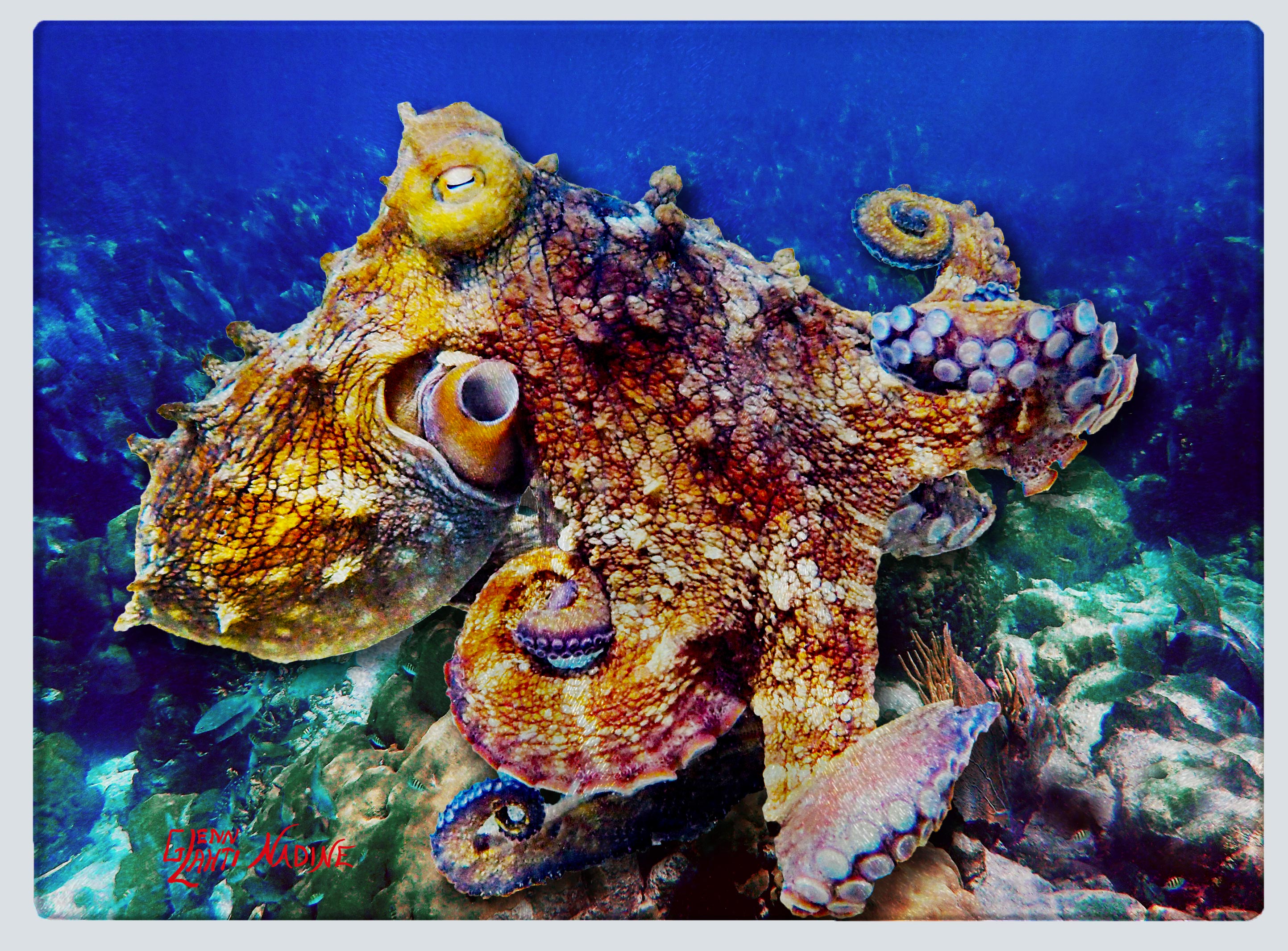 "Octopus on the Reef" Cutting Board