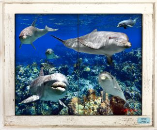 "Pod of Porpoise" Tile Mural