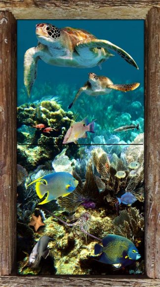 "Reef Top Flyers" 2 Tile Mini Mural