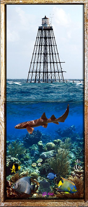 "Sand Key Lighthouse with Reef Below"