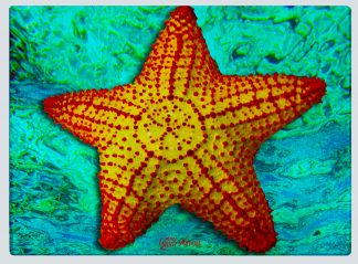 "Starfish with Surface Water" Cutting Board