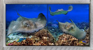 "Stingray City Reef" 2 Tile Mini Mural