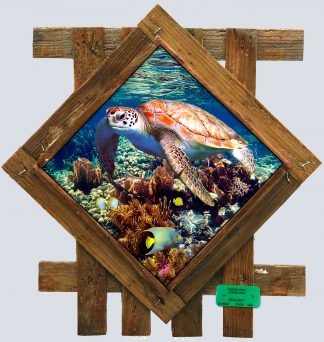 "Shallow Reef" Diamond Lid