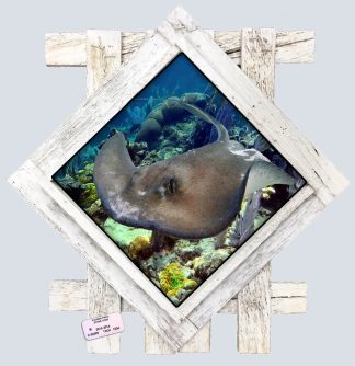 "Stingray on the Rocks" Diamond Lid