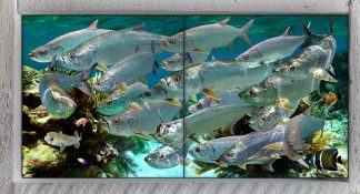 "Tarpon Convention" 2 Tile Mini Mural