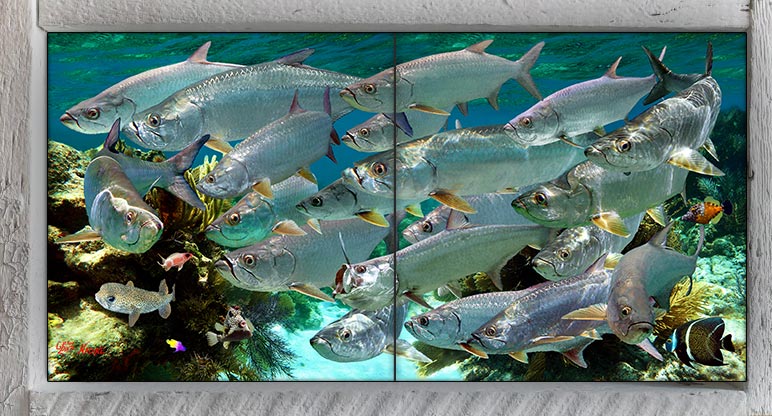 "Tarpon Convention" 2 Tile Mini Mural