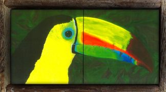"Keel Billed Toucan" 2 Tile Mini Mural