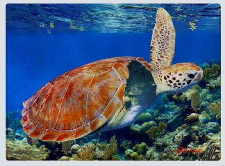"Turtle 56" Cutting Board