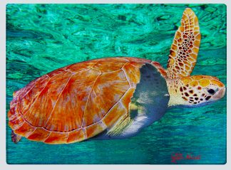"Turtle at the Surface" Cutting Board