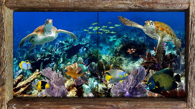 "Turtle Encounter" 2 Tile Mini Mural