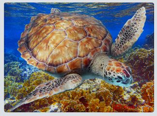 "Turtle on the Reef" Cutting Board