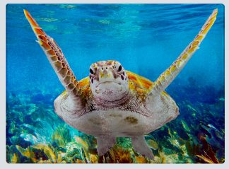 "Turtle over the Fans" Cutting Board