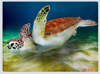 "Turtle Over the Sand 2" Cutting Board