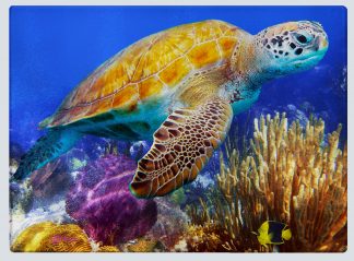 "Turtle with Purple Seafans" Cutting Board