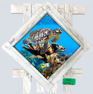 "Turtle and Kissing Grunts" Diamond Lid