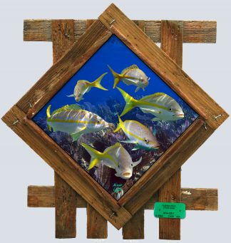 "Yellowtail School" Diamond Lid