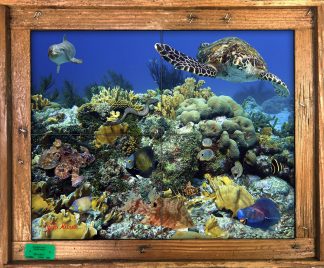 "A Very Happy Reef" Tile Mural