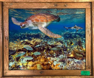 "Bahamian Reef with Lionfish" Tile Mural