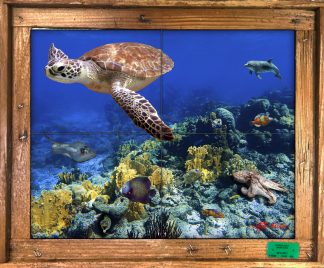"Bonaire Reef" Tile Mural