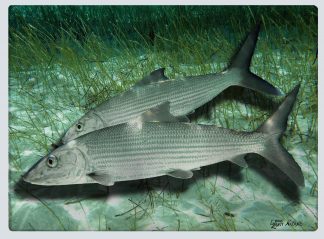 "Bonefish" Cutting Board