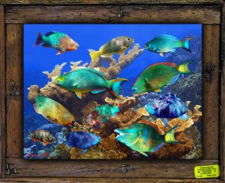 "Coral Munchers"