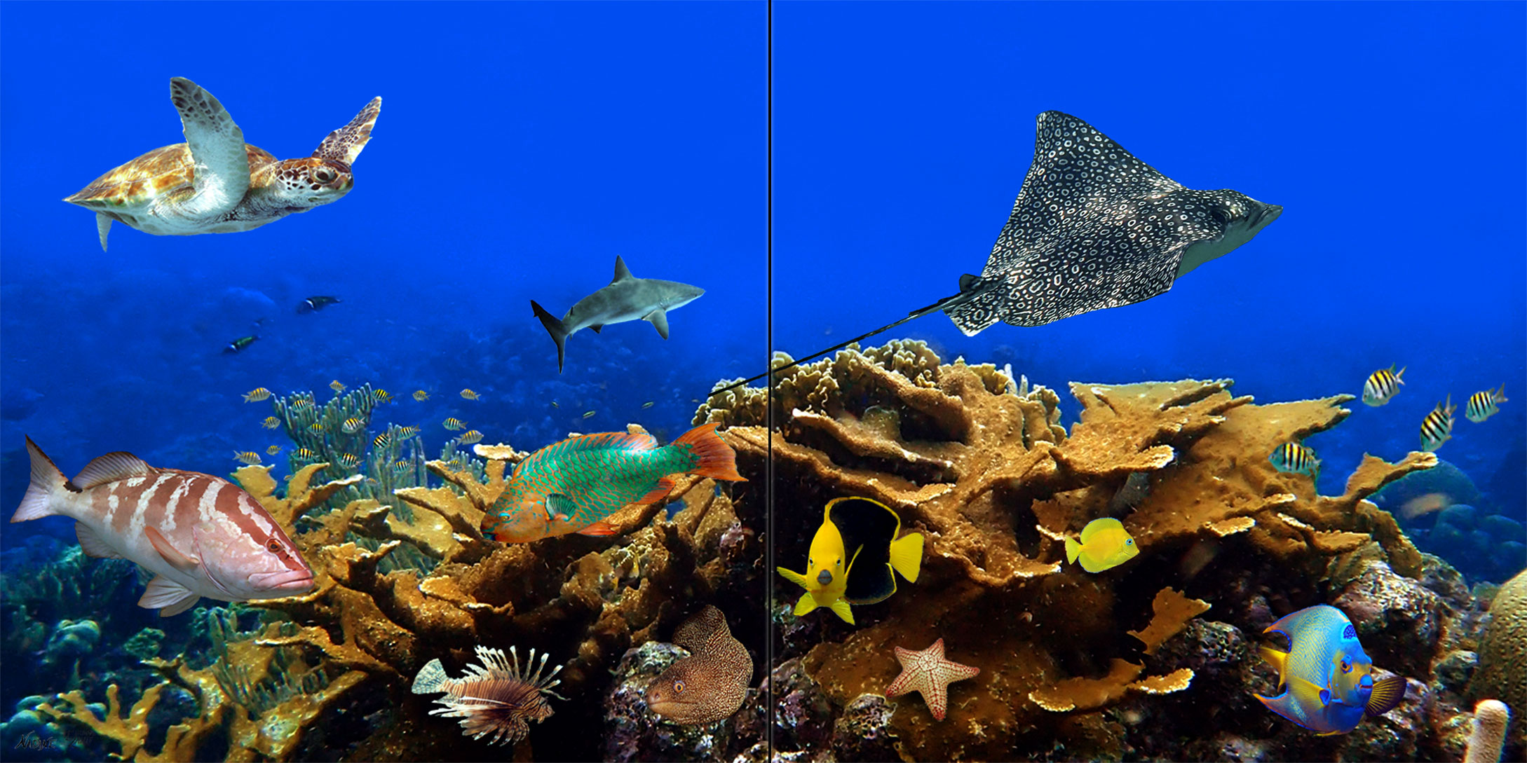 "Coral Village" Tile Mural