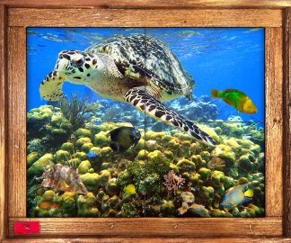 "Costa Maya Reef" Tile Mural